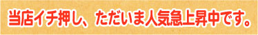 当店イチ押し、ただいま人気急上昇です。