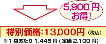 特別価格13,000円（税込）