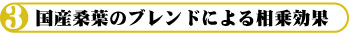 国産桑葉のブレンドによる相乗効果