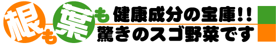 ヤーコンは根も葉も健康成分の宝庫！驚きのスゴ野菜です！