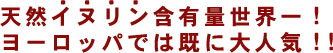 天然イヌリン含有量は世界一！ヨーロッパでは既に大人気！